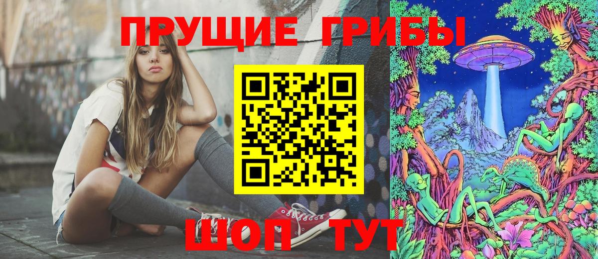Псилоцибиновые грибы мицелий Ставрополь