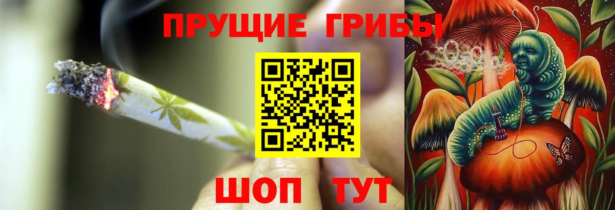 Ставрополь  Псилоцибиновые грибы Cubensis  Вход с VPN 